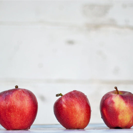 3 Reasons Why Charter Schools May be a Better Option than Homeschooling
