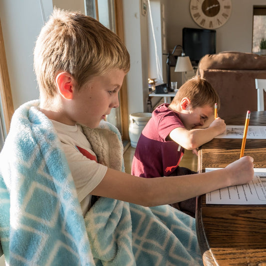 Homeschooling Multiple Ages: Proven Tips for Success