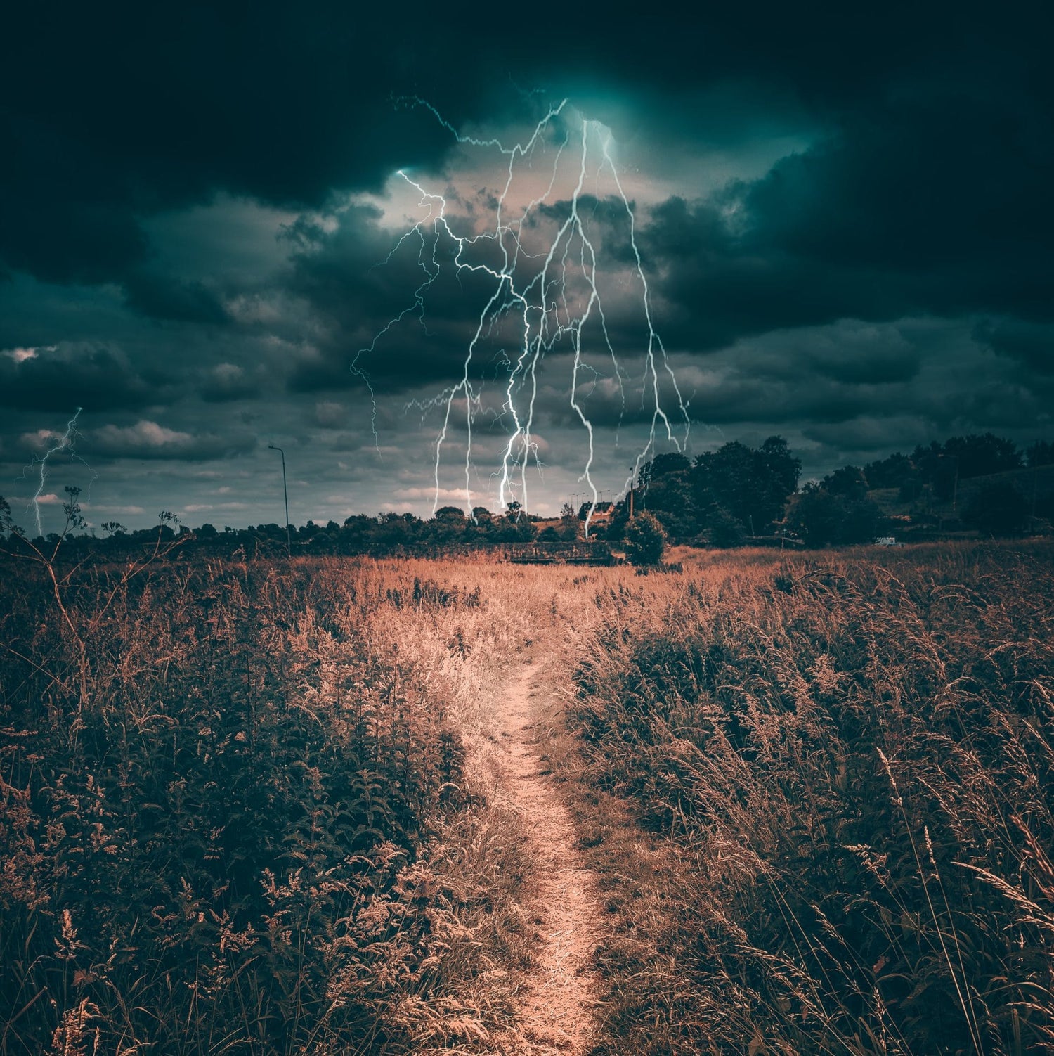 Conquering Life's Storms: A Guide to Thriving in Trying Times
