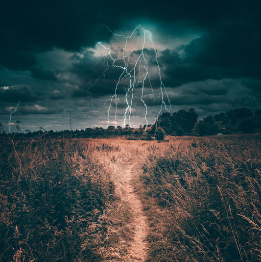 Conquering Life's Storms: A Guide to Thriving in Trying Times