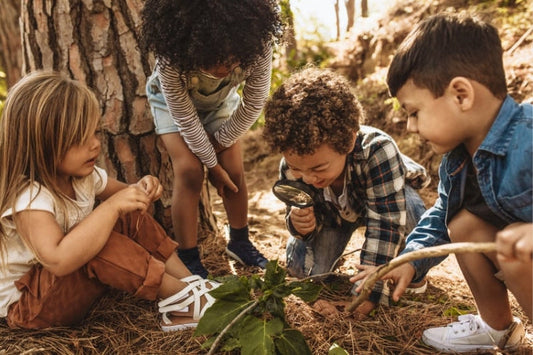 A group of children examine leaves and soil at the base of a tree using a magnifying glass.